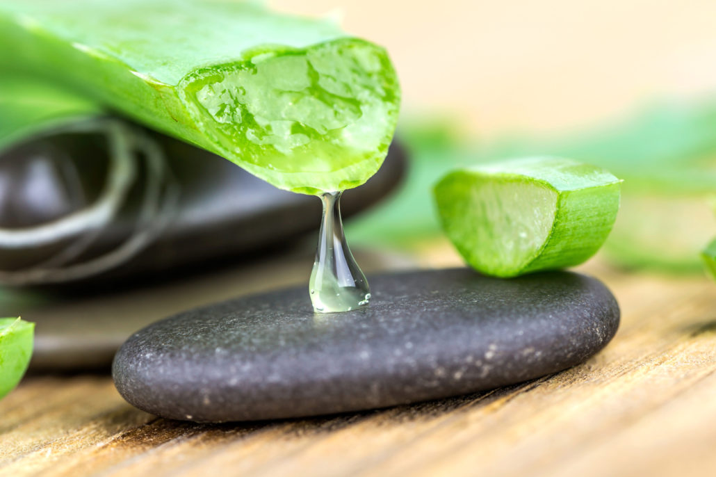 Aloe on a wooden background with stones